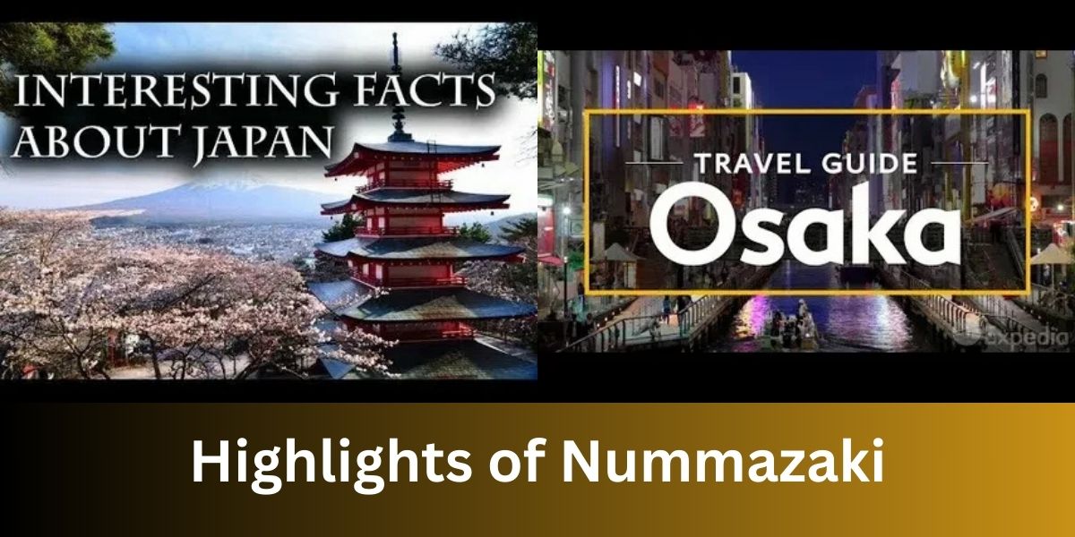 Highlights of Nummazaki: The Complete Guide to What It Is, What People Mean, and the Best Coastal Experiences Nearby