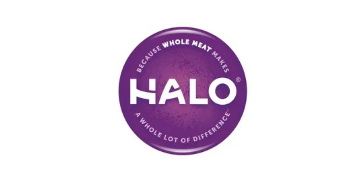  Norse Airlines: Routes, Baggage, Seats, Prices, and What to Expect in 2026