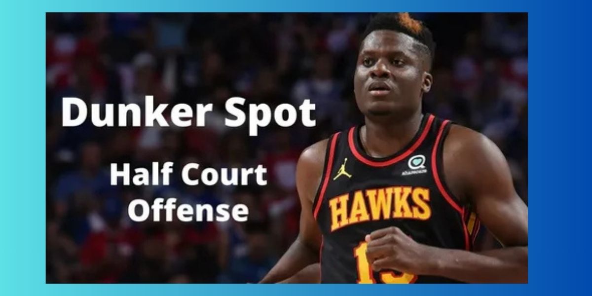 Tacko Fall: Height, Stats, Career Path, and What a 7'6" Center Means in Modern Basketball Tacko Fall: Height, Stats, Career Path, and What a 7'6" Center Means in Modern Basketball