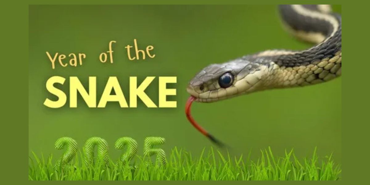Lunar New Year 2025 Animal: Year of the Wood Snake Meaning, Dates, Traits & Traditions