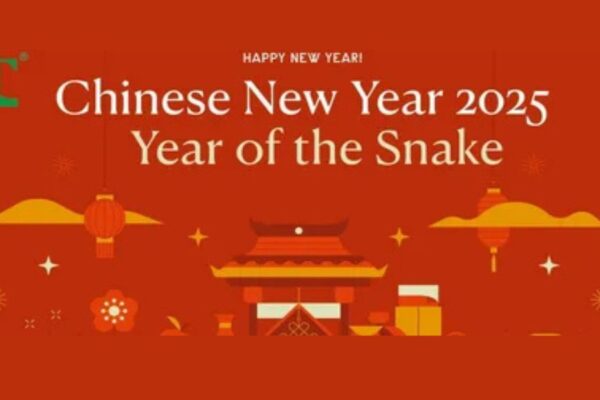 New year vs chinese new year: