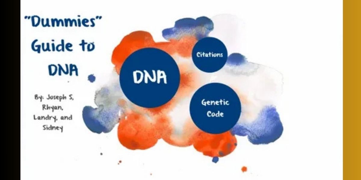 RDR 3: 10 Dark, Thrilling, Can’t-Miss, Legendary Story Paths Rockstar Could Take