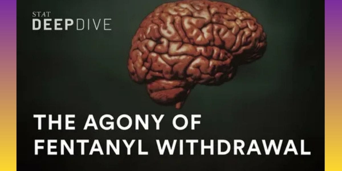 Kouri Richins Trial: 10 Dramatic Moments You Shouldn’t Miss Kouri Richins Trial: 10 Dramatic Moments You Shouldn’t Miss