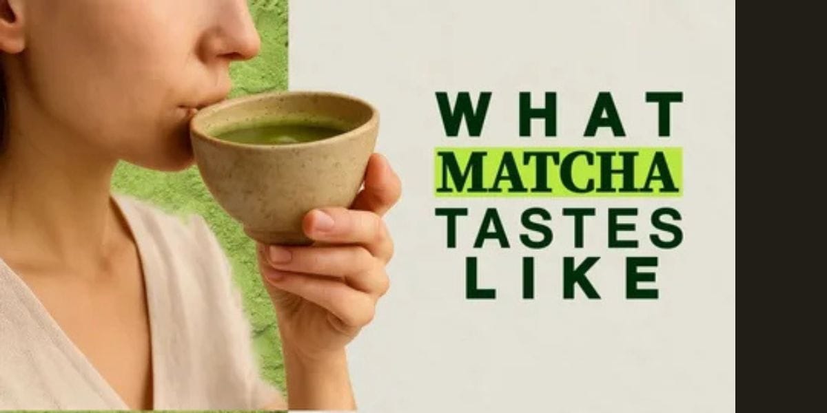 What Does Matcha Taste Like Starbucks? Real Flavor Breakdown, Honest Insights & What to Expect What Does Matcha Taste Like Starbucks? Real Flavor Breakdown, Honest Insights & What to Expect